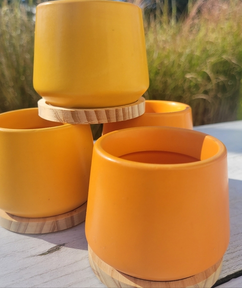 Orange & Yellow Succulent Planters ~ Vases  Candle Holders Boho  Cottage FINAL! - Picture 10 of 16